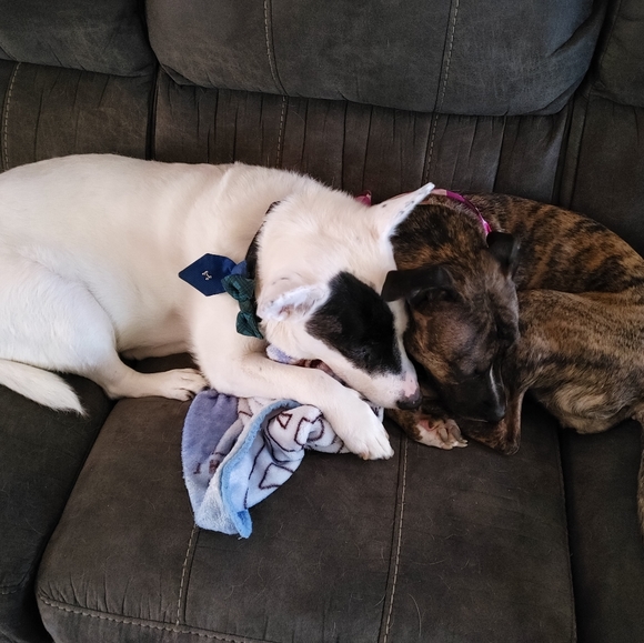 Meet your Posher, Amber - Picture 12 of 12